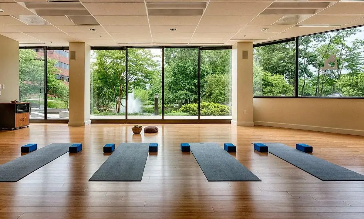 Calm yoga studio space